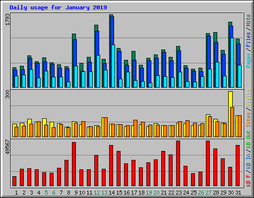 Daily usage for January 2019